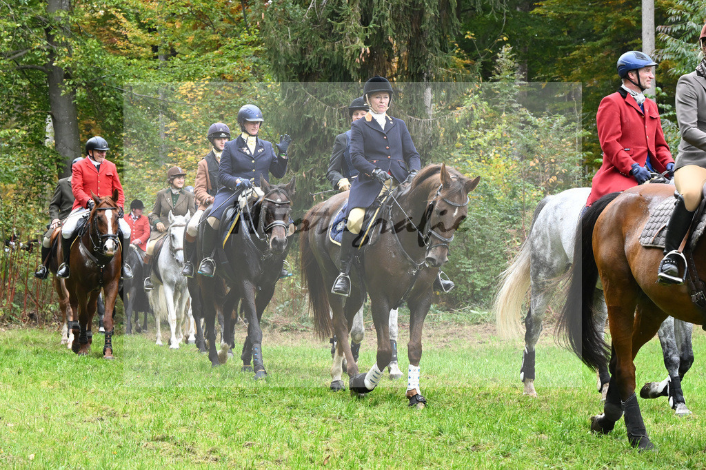 5622556 | hf-fotografie - Realizzato con Pictrs.com