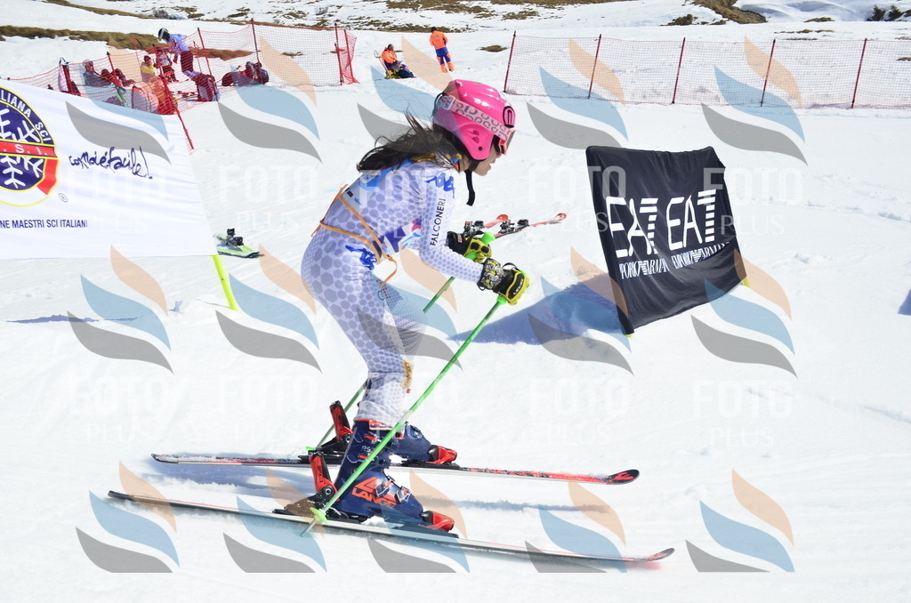 _ELE0843 | holidayphoto