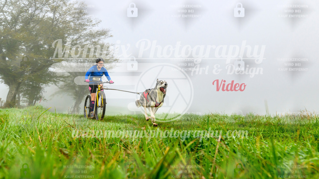 MompixPhotography_20TSB_E5_DS1-29 | PayLife