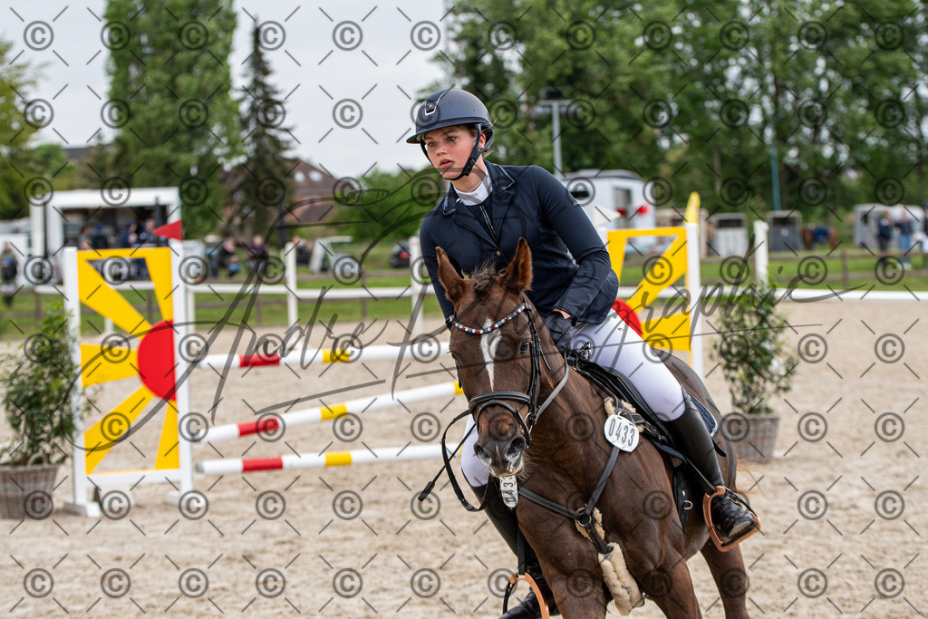 KPT_8113 | andre_photographic