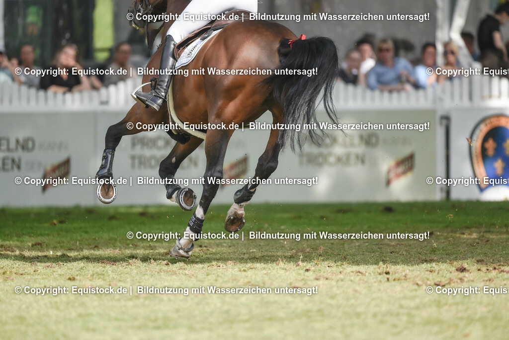 20230529_20_CSI4_Großer-Preis_0565 | equistock