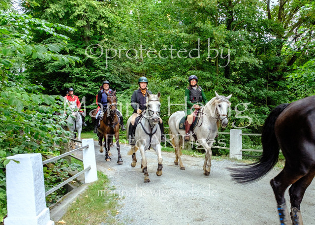Jagd Knoop 26_MarinaHewigDSCF8798 | Fotografie, FotoArt, PferdesportArt, Pferdesportfotografie, Landschaftsfotografie, Reisefotografie, Reise, Pferde - Realisiert mit Pictrs.com