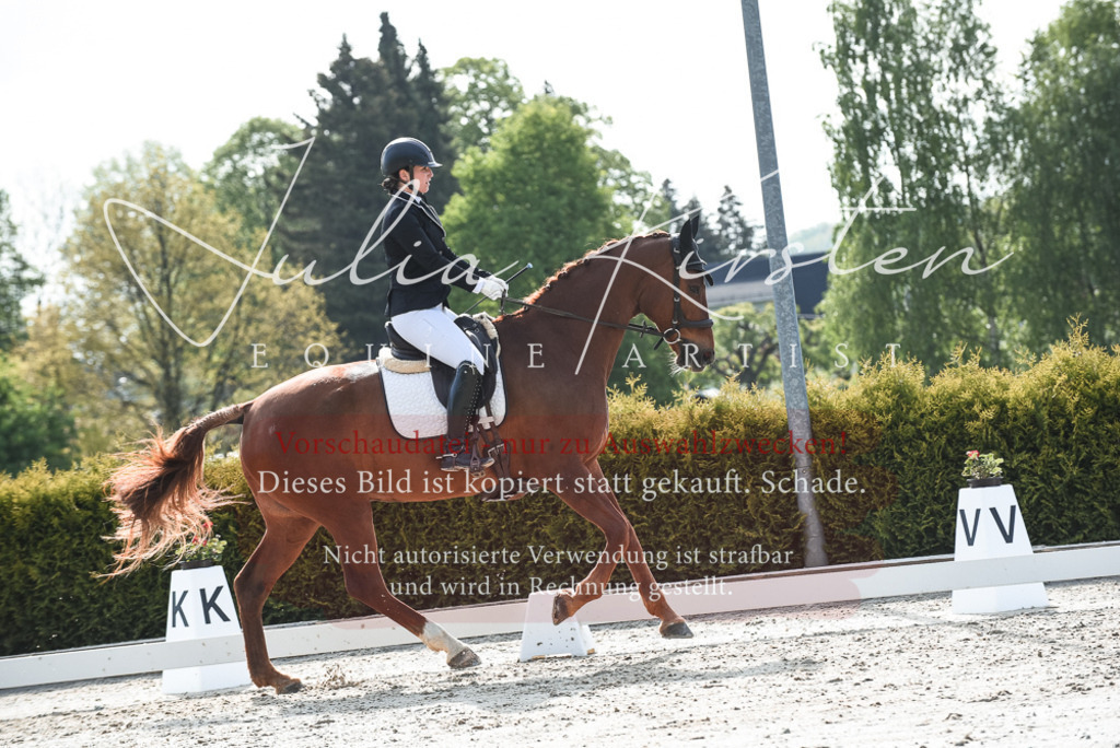 20230518_JK-Röhrsdorf-09-1310 | Pferde- und Turnierfotografie in Westsachsen. Pferdeportraits, Auftragszeichnungen und intuitive Kunst.