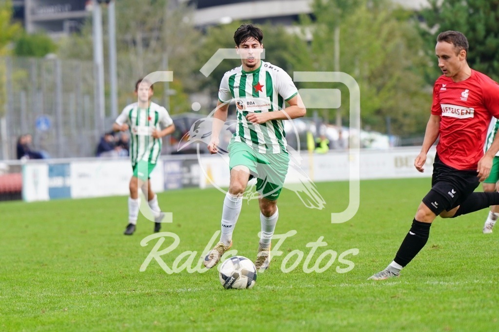 SON04784 | rabefotos
