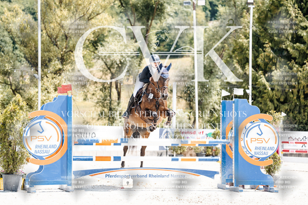 CK907711 | Turnierfotografie Pferdefotografie Trier Rheinland-Pfalz Pferdesport Reitsport Tierfotografie Sportfotografie Pferdevideo Pferdevideografie Equestrianvideography equestrianphotography  - Realisiert mit Pictrs.com