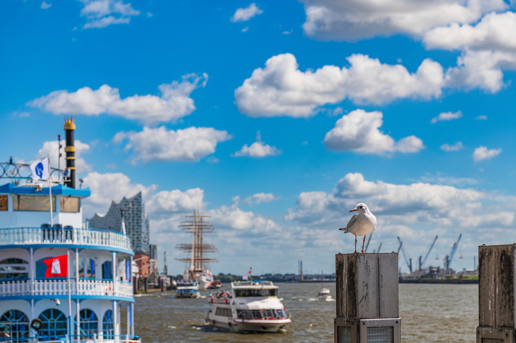 2023_08_10_HH-LANDUNGSBRUECKEN_MCP0970 | Hochwertig gedruckte Fotografien für die Wand, als Kalender und zum Verschenken. Hamburg & Norddeutschland und überall wo ich mit der Kamera unterwegs war.