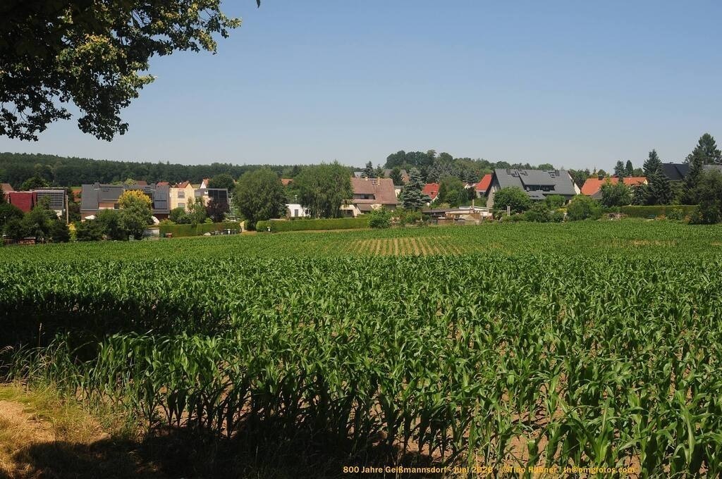 Geißmannsdorf-2026-Ortsbilder-547 | Geißmannsdorf bei Bischofswerda im Sommer 2026. Ein fotografischer Streifzug durch das Dorf Geißmannsdorf, mit Gebäuden, Straßen, Strohpuppen und geschmückten Vorgärten und Grundstücken anlässlich der 800-Jahr-Feier von Geißmannsdorf im Juni 2026 - Realisiert mit Pictrs.com