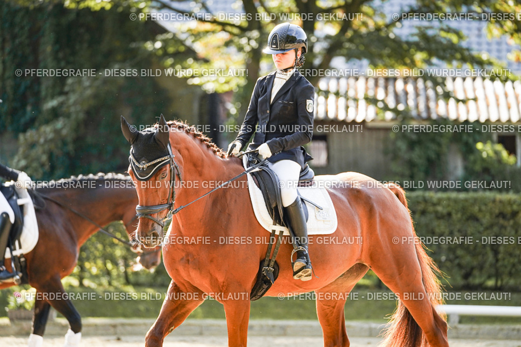 DSC06937 | Pferdegrafie