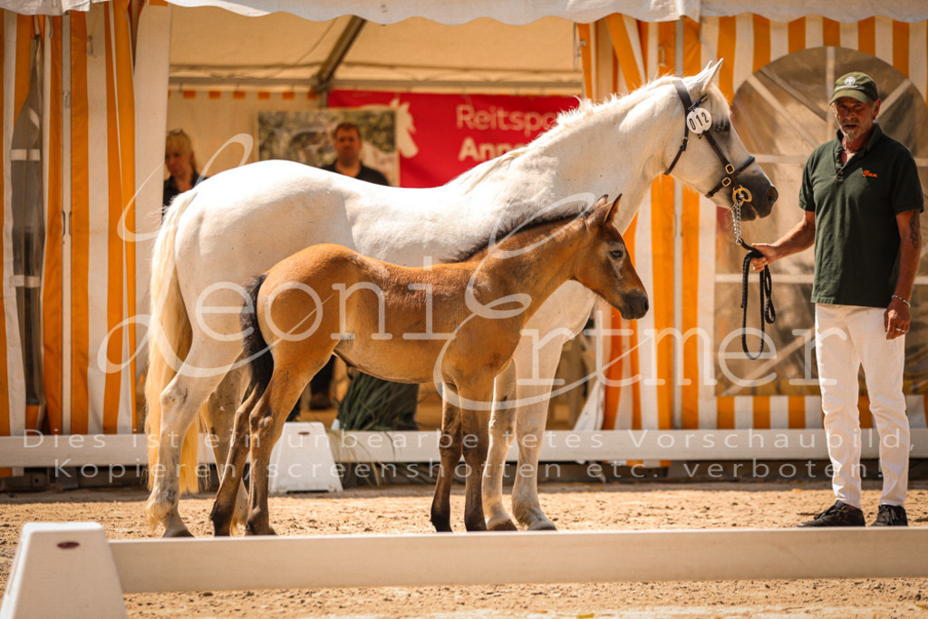 02.DoSR00148 | Leoni Ertmer Photography - Realisiert mit Pictrs.com