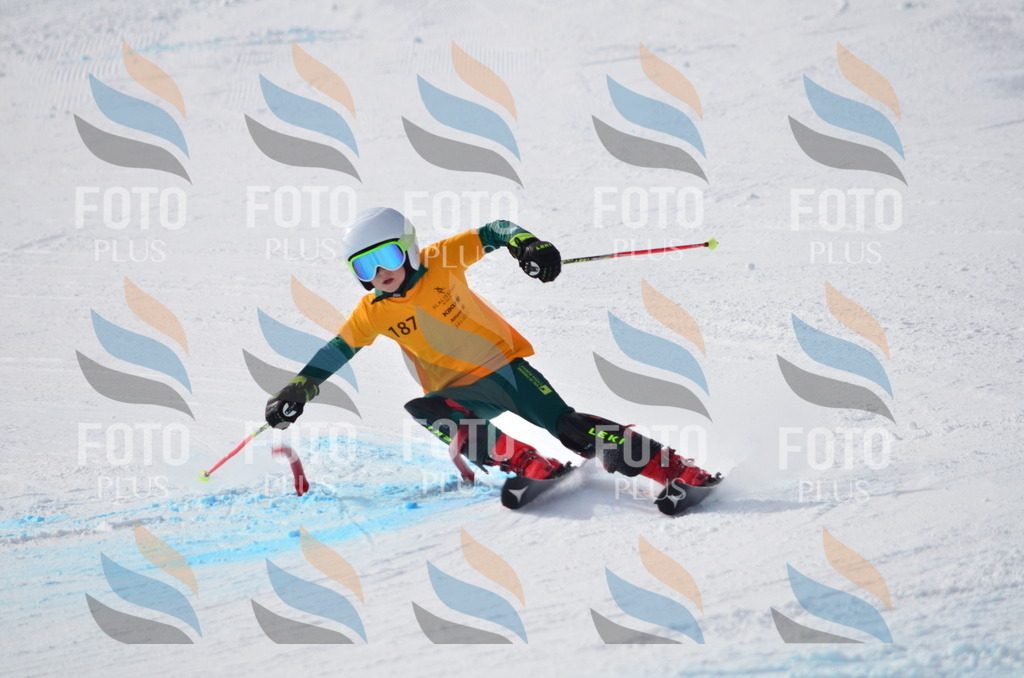 C8036 | holidayphoto