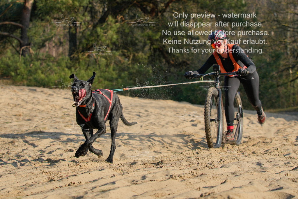 So_Scooter-76 | stephaniefillaphotographie - Realisiert mit Pictrs.com