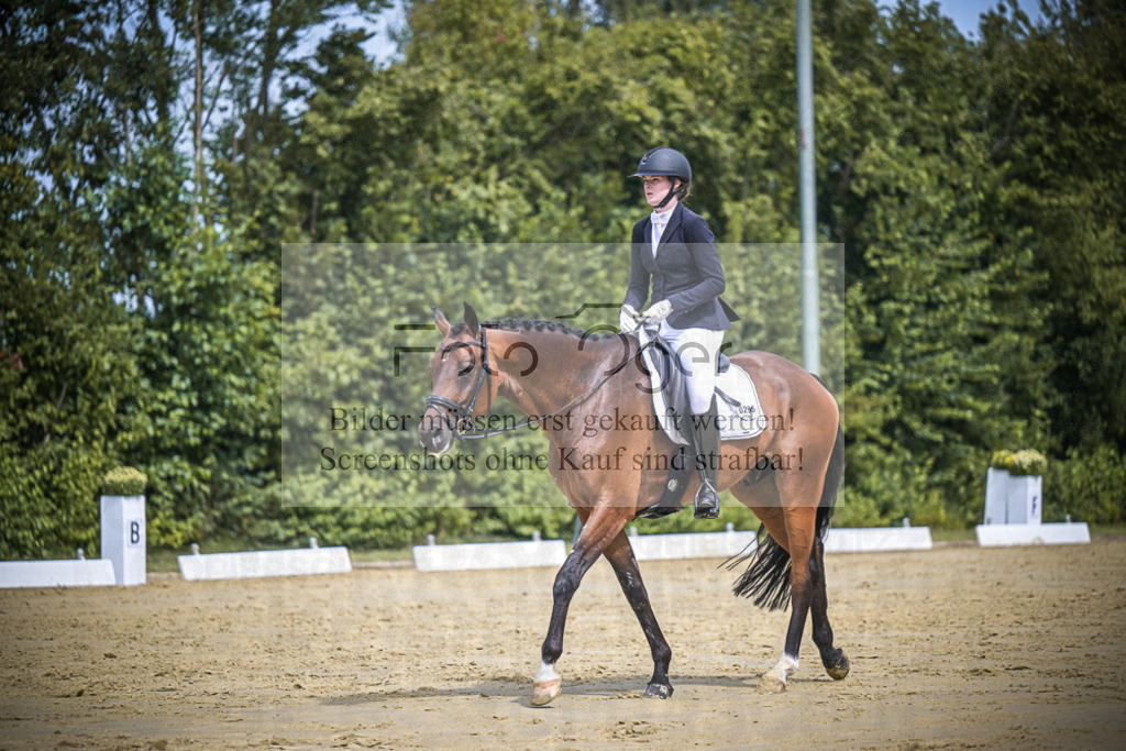 DOS_3064 | Entdecke hochwertige Reitturnierfotos von Foto Oger. Professionell, emotional und authentisch – jetzt Lieblingsmomente im Shop bestellen.Deutschlandweite Turnierfotografie. - Realisiert mit Pictrs.com