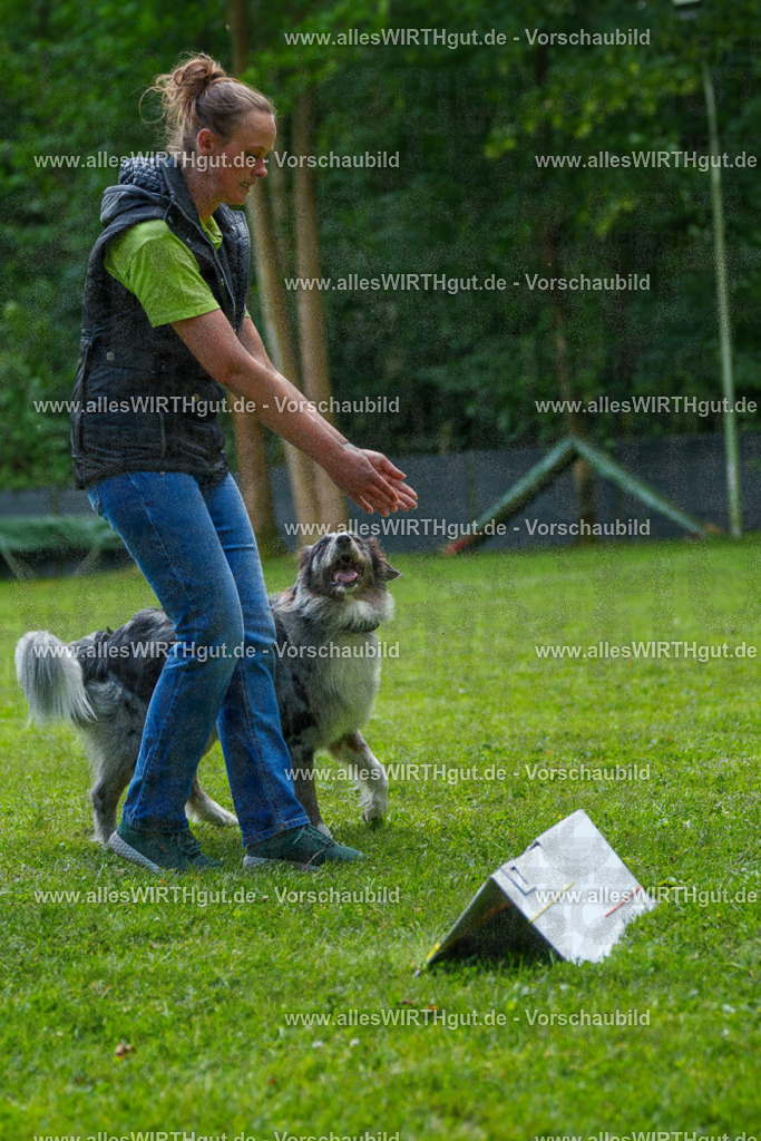 @allesWIRTHgut_Tierfotografie - www.allesWIRTHgut.de - 7R504774 | Professionelle Tierfotografie in Mönchengladbach von Daniel Wirth (allesWIRTHgut). Liebevolle & natürliche Bilder von Hunden & Katzen für unvergessliche Erinnerungen.