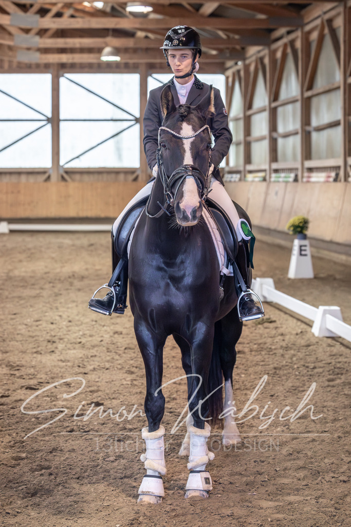 20251011-_3LI0794 | Tierfotografie Pferde, Hunde, Katzen, Haustiere.
Turnierfotografie Reitturniere, Reiten, Springreiten, Dressur in Hanau, dem Main-Kinzig-Kreis und dem Rhein-Main- Gebiet um Frankfurt