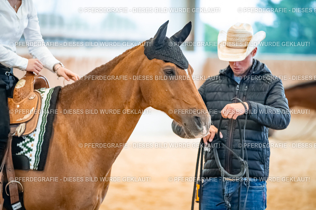 DSC09909 | Pferdegrafie