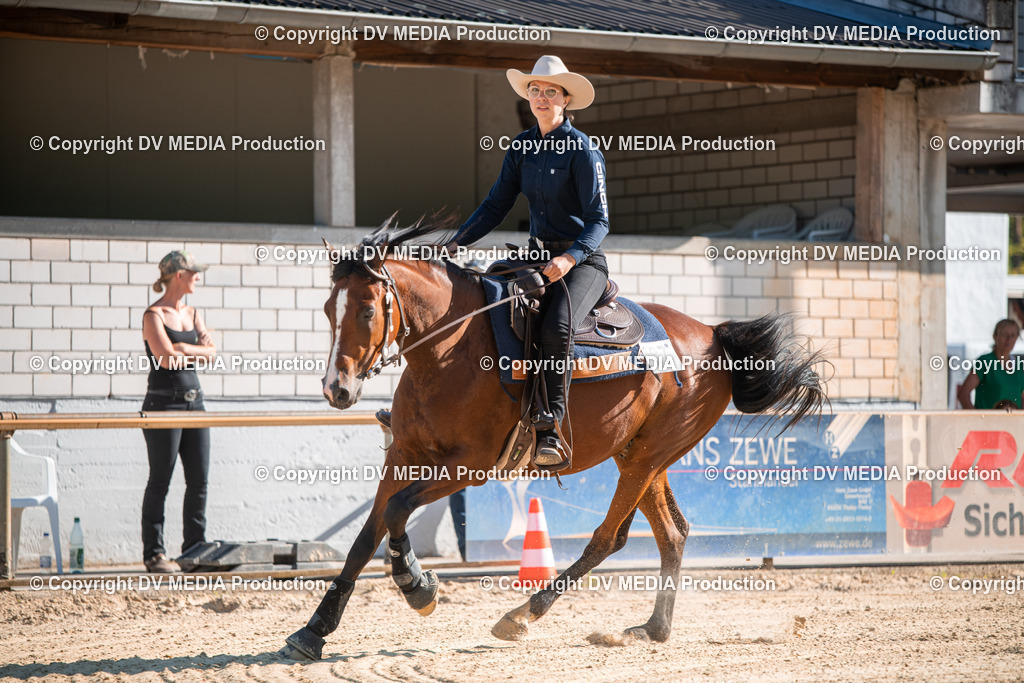 EWP_7021 | dv-media-shop - Realisiert mit Pictrs.com