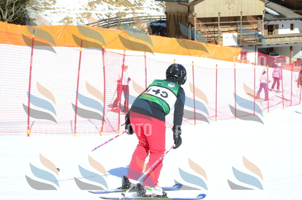 C6110 | holidayphoto