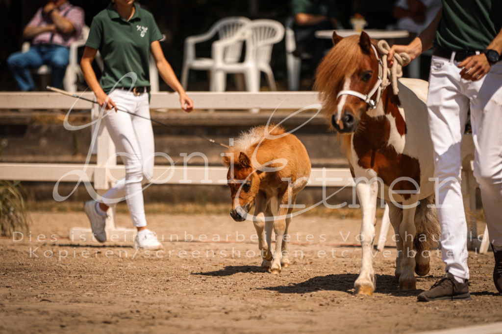 01.DoKR00086 | Leoni Ertmer Photography - Realisiert mit Pictrs.com