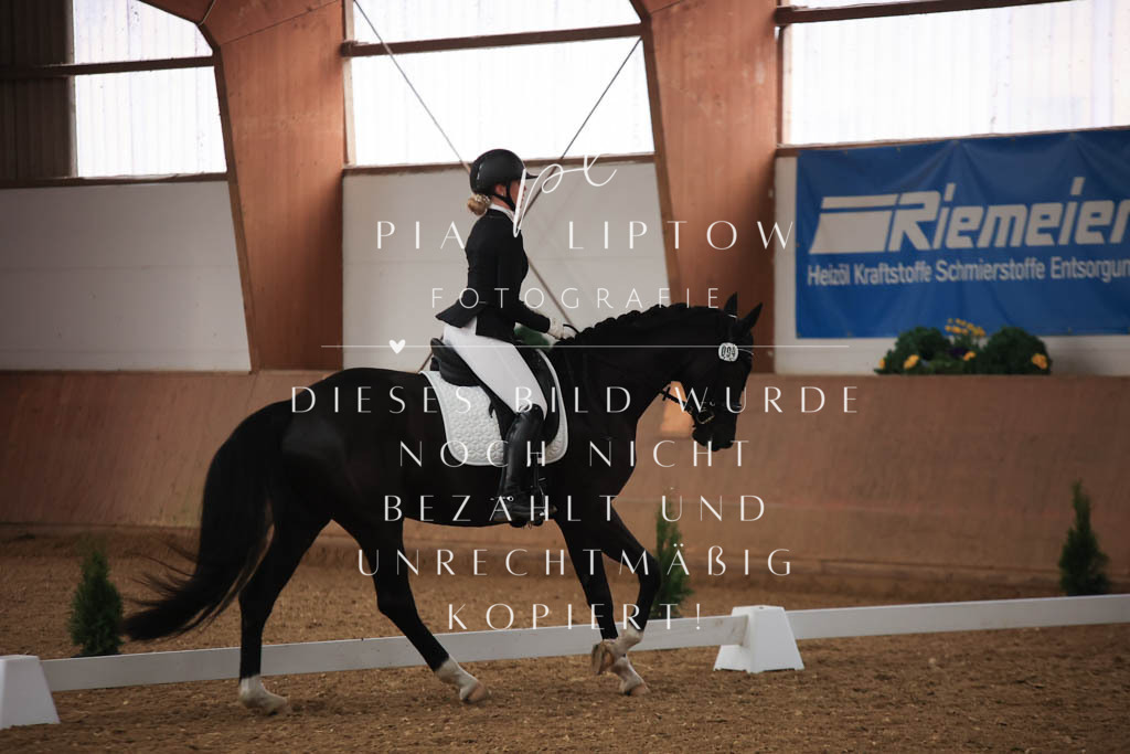 IMGT6996 | pl-fotografie