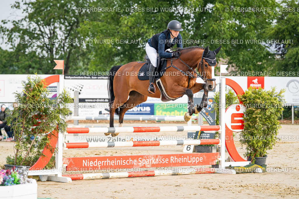 DSC08385 | Pferdegrafie