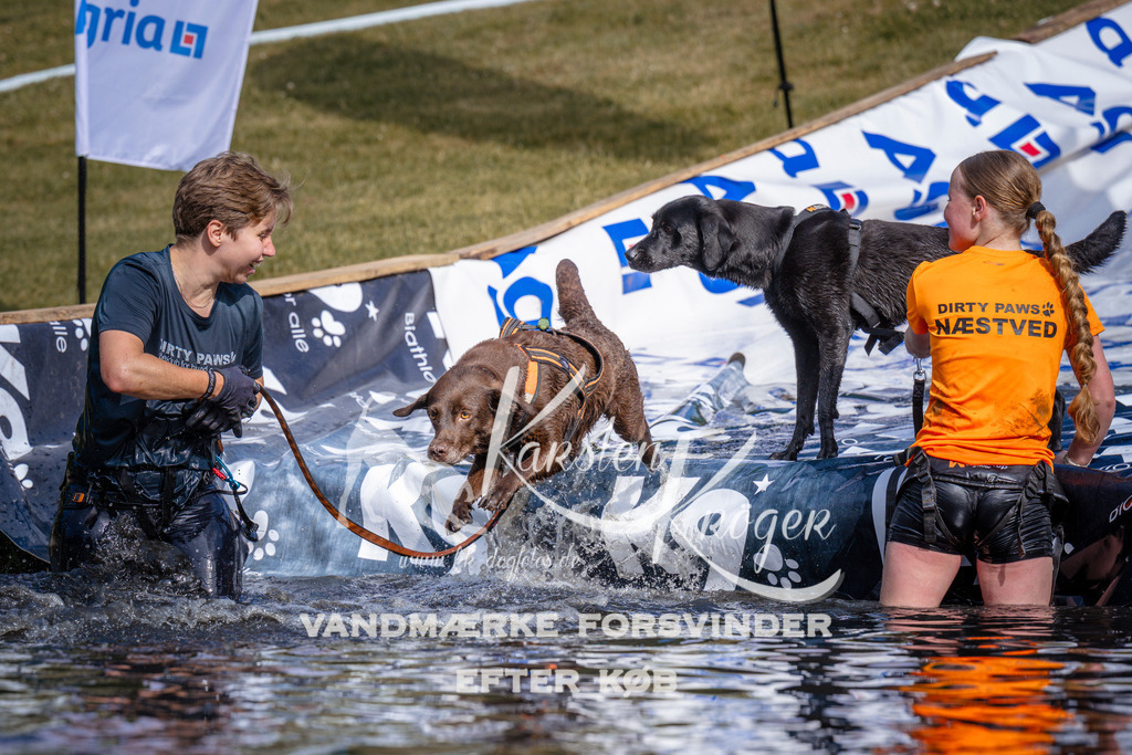 _ZZ988550811 | kk-dogfotos