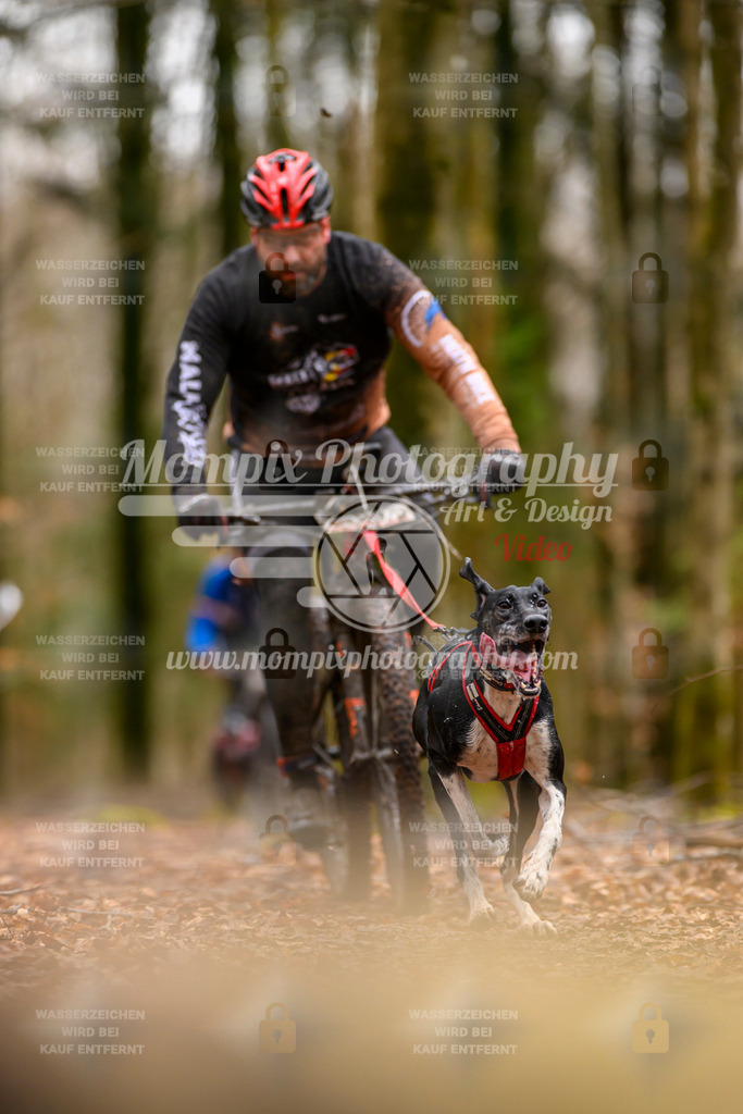 MompixPhotography_Habay2024_SA_Bike-65 | PayLife