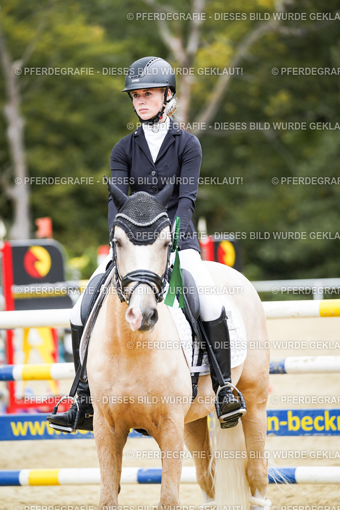 DSC02439 | Pferdegrafie