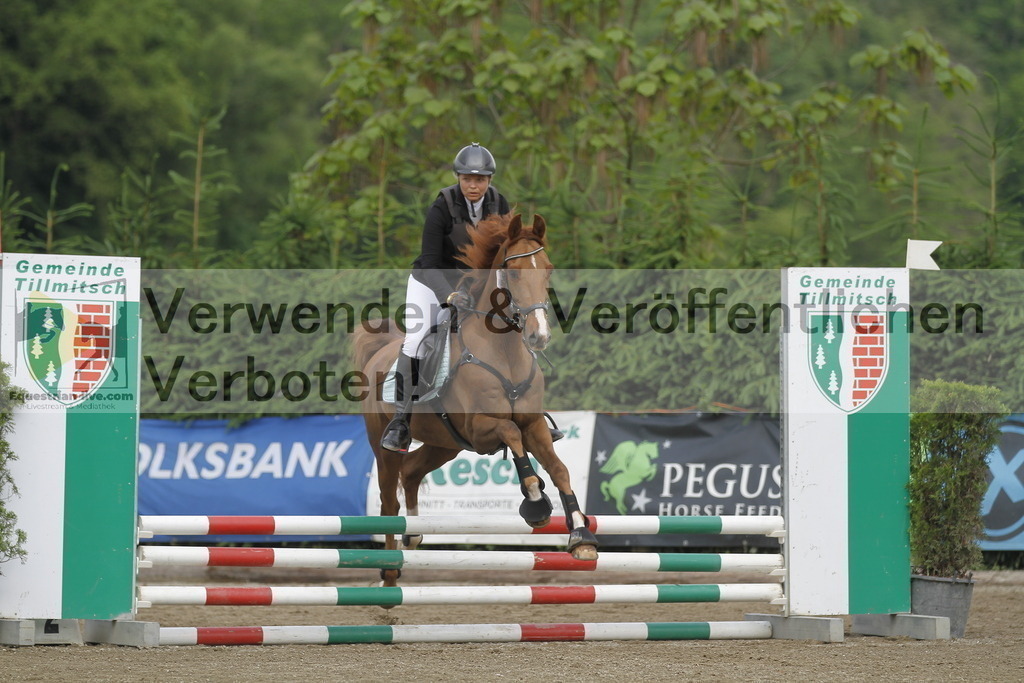 _MG_4248 | equestrian-live-com