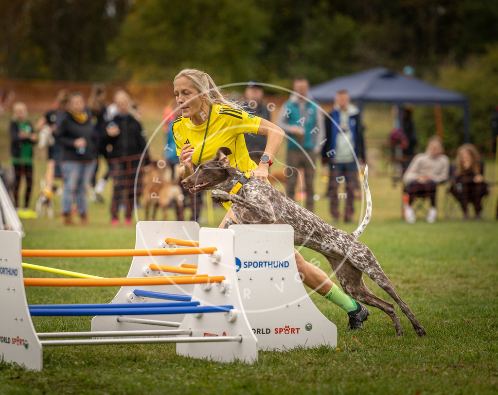 Pfotenfotografie_DV3A6841 | Hundefotografie, Tierfotograf, Pfotenfotografie, Fotoshooting Hund, Hunde Portrait, Hundesport, Hundeportraits, Heideshooting, Hunde, Sportfotograf, Hundefotograf, Turnierhundsport, THS,  - Realisiert mit Pictrs.com