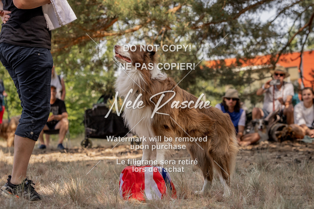 nelerasche_soDD2_130 | nelerasche