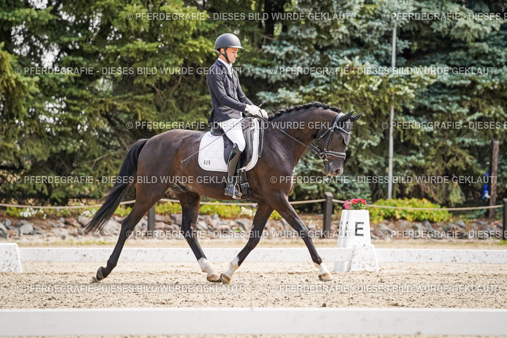 DSC00095 | Pferdegrafie