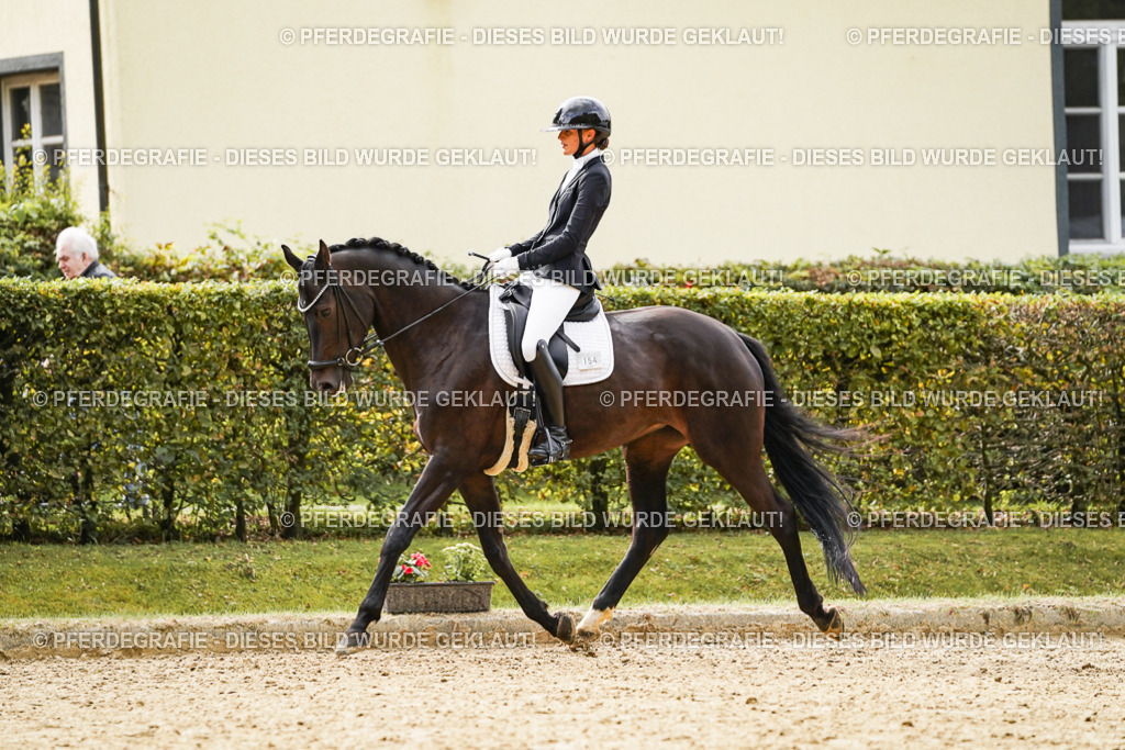 DSC00801 | Pferdegrafie