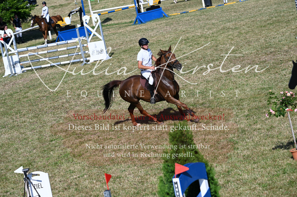 DSC_2260 | Pferde- und Turnierfotografie in Westsachsen. Pferdeportraits, Auftragszeichnungen und intuitive Kunst.