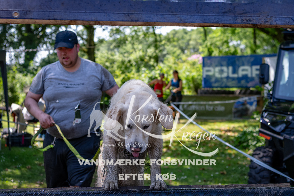 1319_ZZ91205 | kk-dogfotos