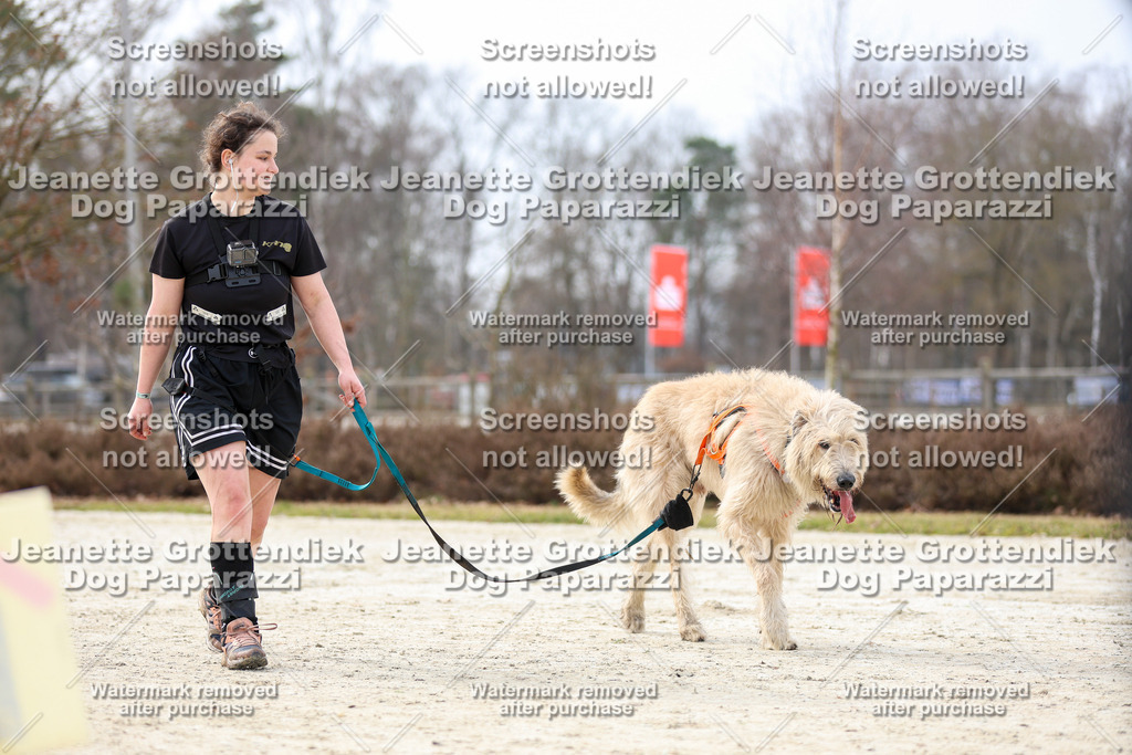 Dog Paparazzi - Strongdog North Mrz26-5788 | Dog Paparazzi Jeanette Grottendiek Fotografie & Videografie - Realisiert mit Pictrs.com