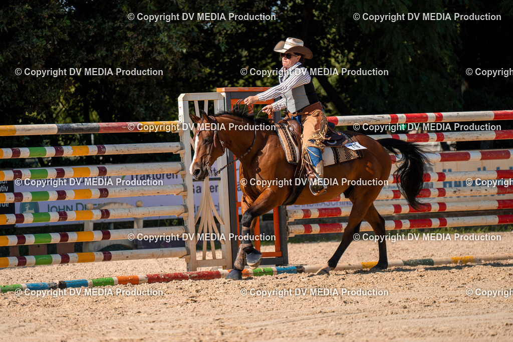 ZH100772 | dv-media-shop - Realisiert mit Pictrs.com