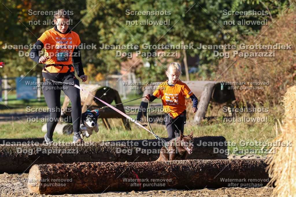 Dog Paparazzi - Strongdog 10-25-1403 | Dog Paparazzi Jeanette Grottendiek Fotografie & Videografie - Realisiert mit Pictrs.com