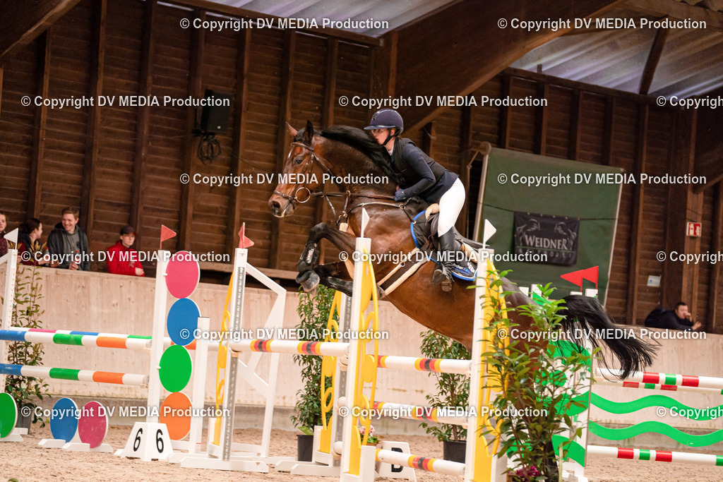 Springen Tag 3-013 | dv-media-shop - Realisiert mit Pictrs.com