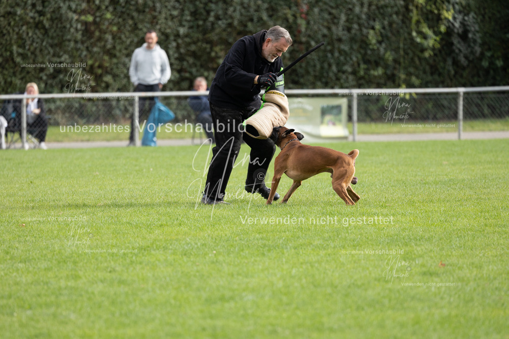 _16A7064 | Einzigartige Fotos von Hunden & Menschen –Actionfotos, Portraits, Vereinsaufnahmen & Paarshootings – authentisch, lebendig & mit Herz.