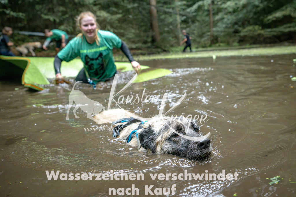 1510_ZZ94566-Bearbeitet | kk-dogfotos
