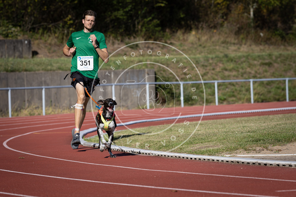 Pfotenfotografie_DV3A9425 | Hundefotografie, Tierfotograf, Pfotenfotografie, Fotoshooting Hund, Hunde Portrait, Hundesport, Hundeportraits, Heideshooting, Hunde, Sportfotograf, Hundefotograf, Turnierhundsport, THS,  - Realisiert mit Pictrs.com