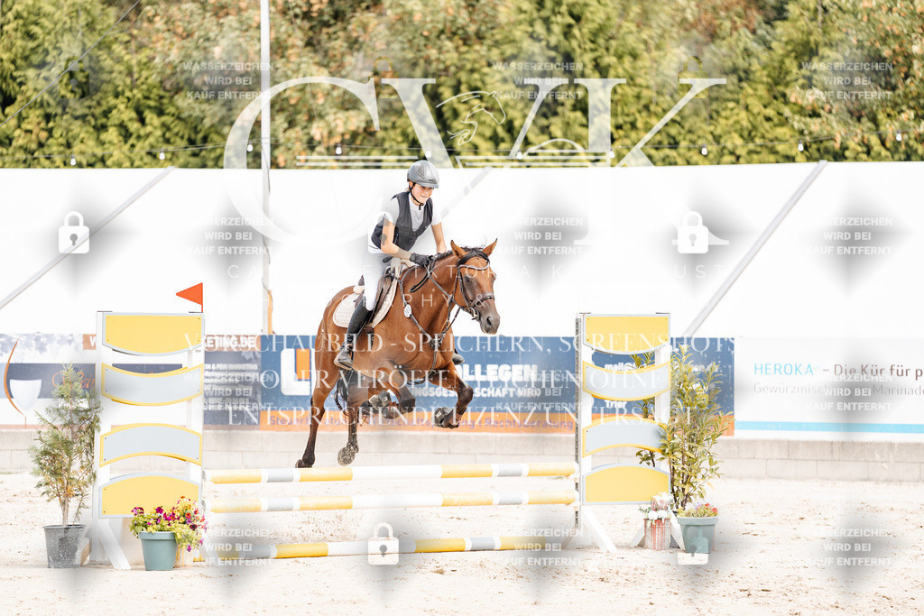 CK906579 | Turnierfotografie Pferdefotografie Trier Rheinland-Pfalz Pferdesport Reitsport Tierfotografie Sportfotografie Pferdevideo Pferdevideografie Equestrianvideography equestrianphotography  - Realisiert mit Pictrs.com