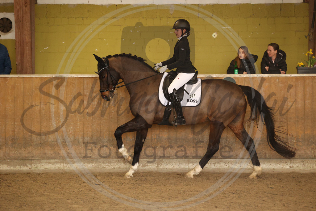 994A9154 | sabrinanicolaifotografie - Realisiert mit Pictrs.com