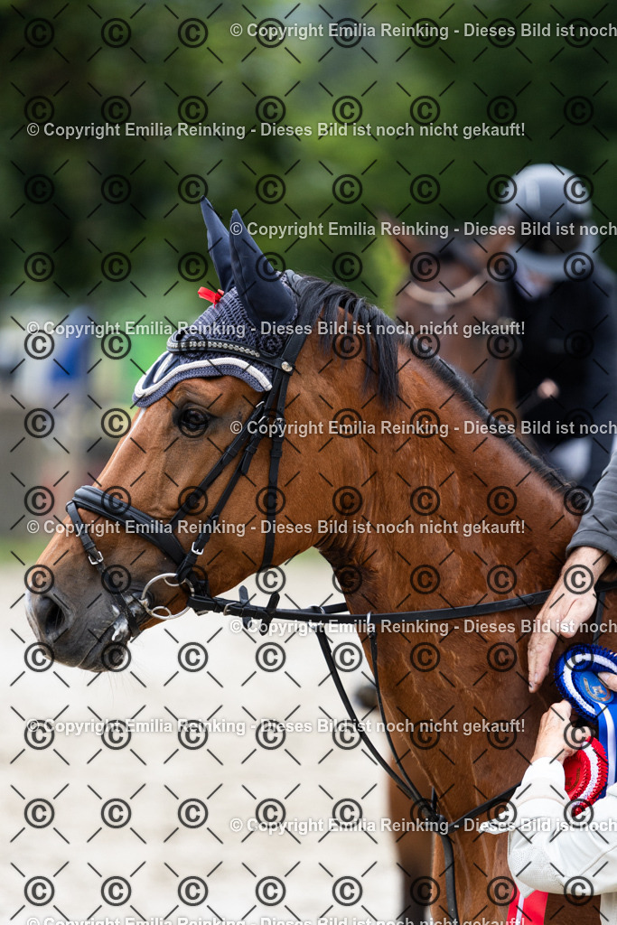 CL5A9699 | Emilia Reinking Fotografie - Realisiert mit Pictrs.com