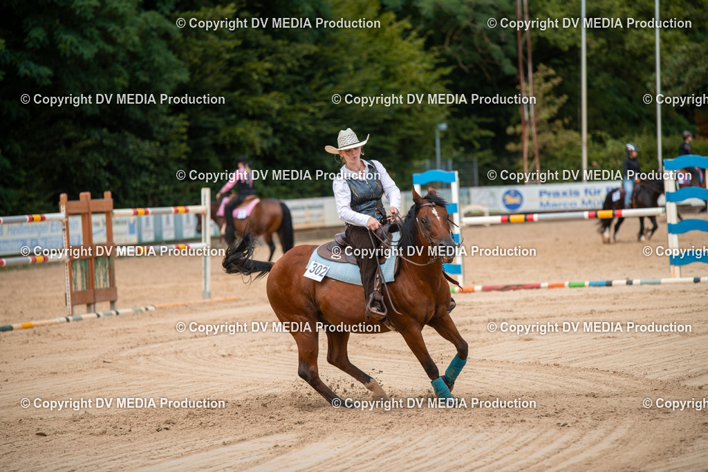 ZS2_8720 | dv-media-shop - Realisiert mit Pictrs.com