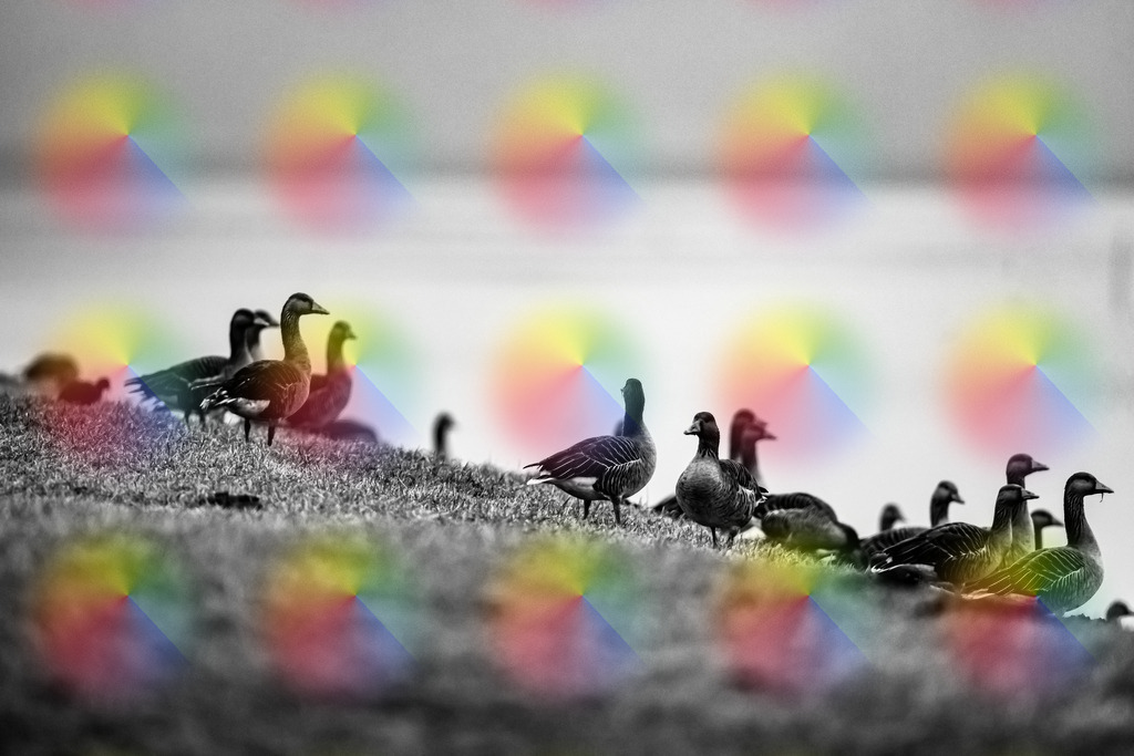 1M5A0095 | FineArtPrint, Hahnemühle, FeeGalerie, Fee Galerie, Fotokunst, Fotografie, Canonphotography, Bergfoto, Matterhorn, Rimpfischhorn, Allalinhorn, Saas-Fee, Wallis, Valais, Switzerland, Bergfotografie