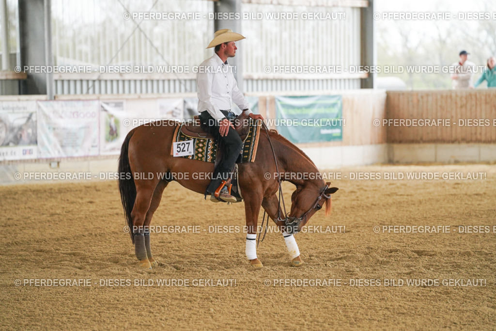 DSC07588 | Pferdegrafie