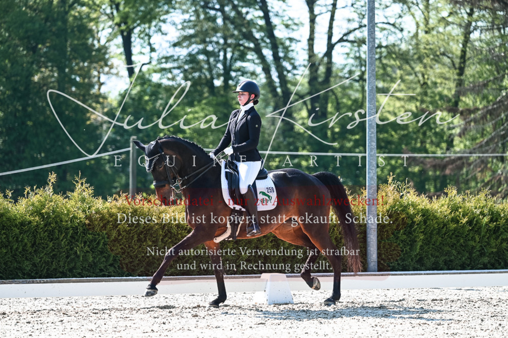 20230514_JK-Röhrsdorf-18-348 | Pferde- und Turnierfotografie in Westsachsen. Pferdeportraits, Auftragszeichnungen und intuitive Kunst.