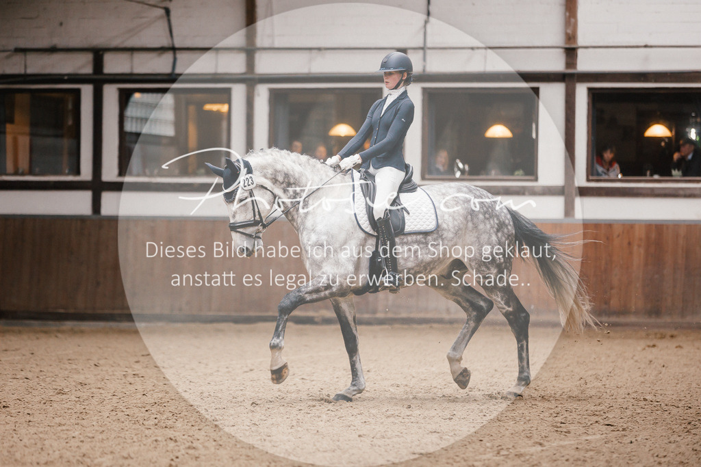 3I6A6818 | Stimmungsvolle Portraits und Reitsportfotografie im Ruhrgebiet und im Münsterland.

Pferdefotografie, Hundefotografie, Tierfotografie, Reportagen, Portraits von Tier und Mensch, Turnierfotografie in Bochum, Recklinghausen, Marl, Haltern am See, Dülmen.. - Realisiert mit Pictrs.com