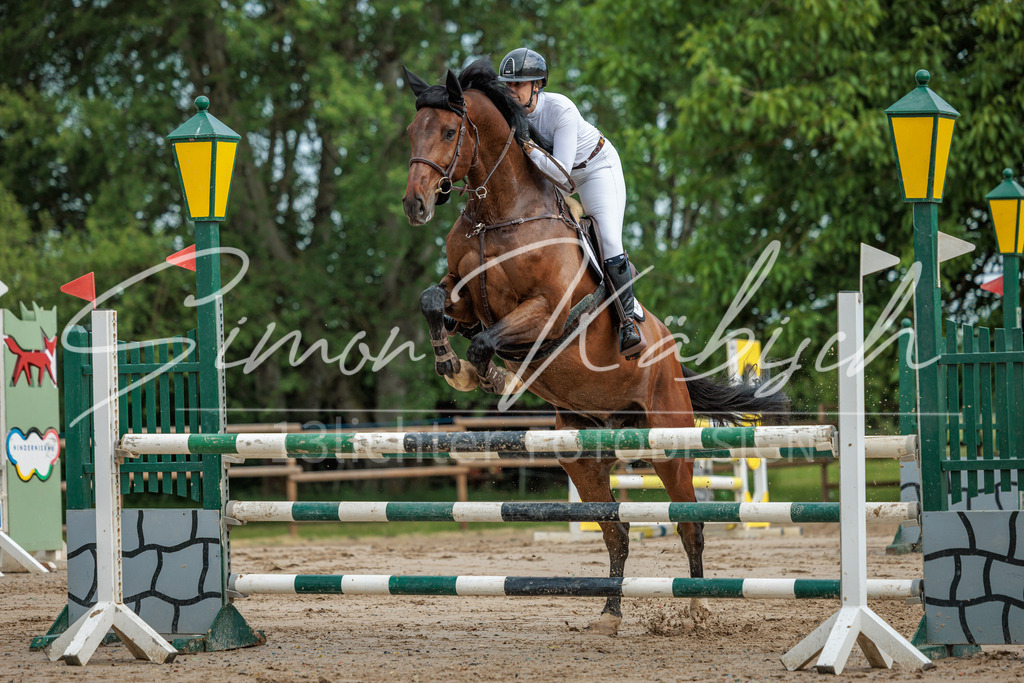 20260530-_3LI2634 | Tierfotografie Pferde, Hunde, Katzen, Haustiere.
Turnierfotografie Reitturniere, Reiten, Springreiten, Dressur in Hanau, dem Main-Kinzig-Kreis und dem Rhein-Main- Gebiet um Frankfurt